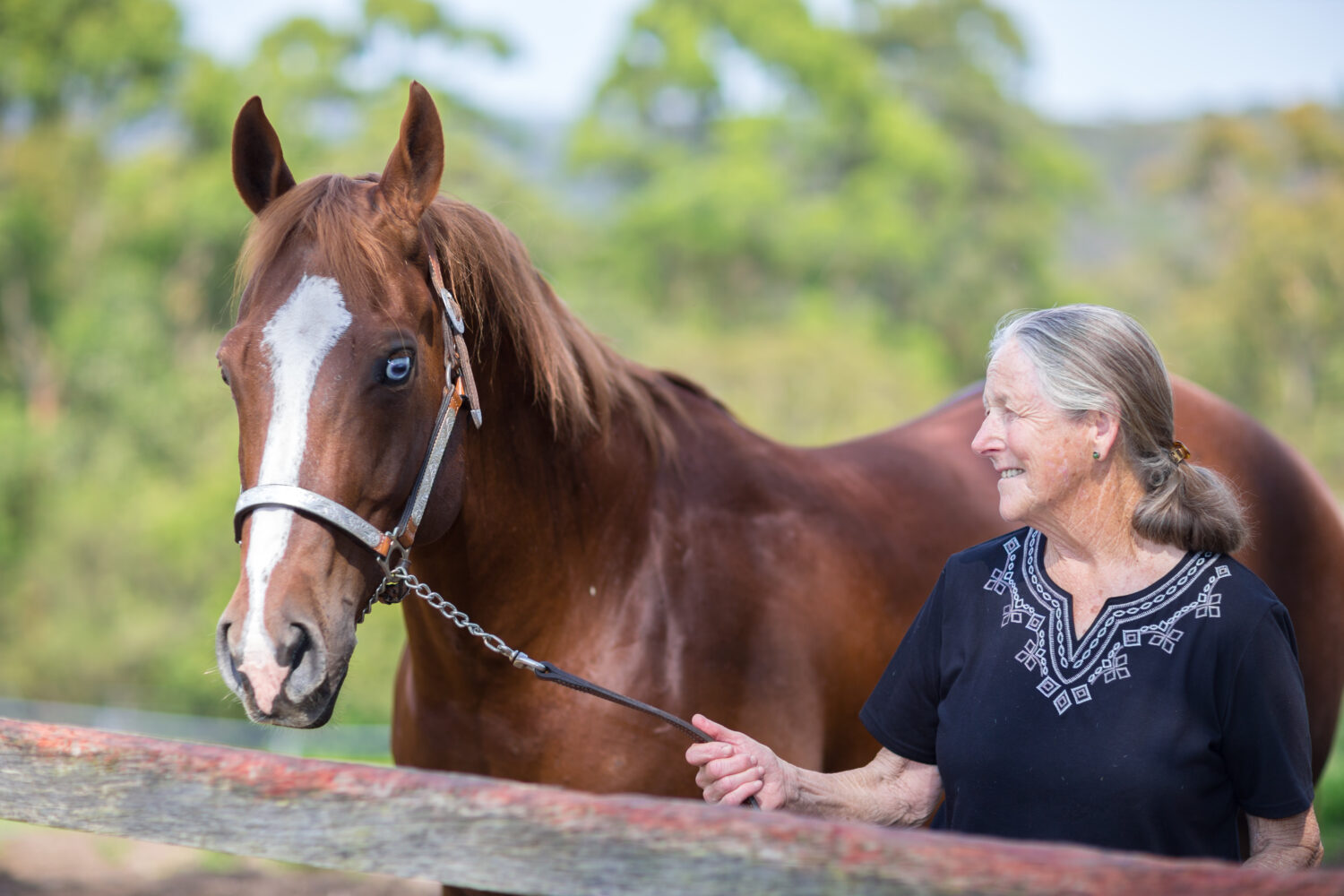 Mary Gale with horse image